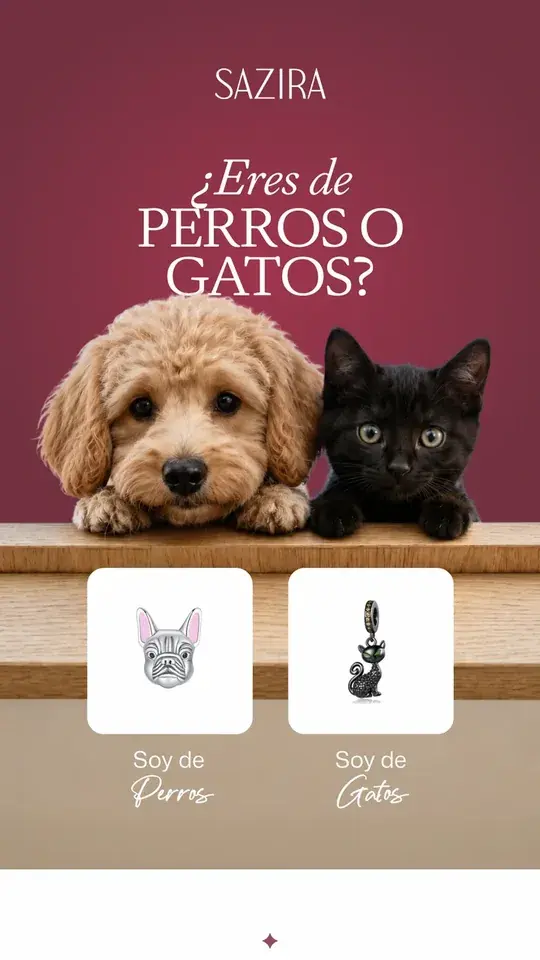 Email diseñado para Sazira